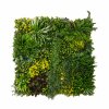3Pcs Artificial Plant Wall Panel 100 x 100cm Cassia Living Foliage Green Tiles Indoor Outdoor Weather & UV Resistant Grass Fence Hedge Privacy Backdrop Garden Home Decor Snap & Lock Fixings Included