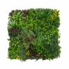3Pcs Artificial Plant Wall Panel 100 x 100cm Cassia Living Foliage Green Tiles Indoor Outdoor Weather & UV Resistant Grass Fence Hedge Privacy Backdrop Garden Home Decor Snap & Lock Fixings Included