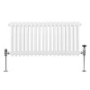 Traditional 2 Column Radiator 300mm x 832mm Modern Central Heating Heater Gloss White Carbon Steel Horizontal Wall Mounted Kitchen Living Room Bathroom FREE Cleaning Brush Fixing Kit & Brackets