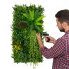 Artificial Plant Wall Panel 50 x 100cm Alina Living Foliage Greenery Tiles Indoor Outdoor Weather & UV Resistant Grass Fence Faux Hedge Privacy Backdrop Garden Home Decor Snap & Lock Fixings Included