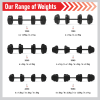 Vinyl Dumbbell Set 20kg