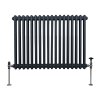 Traditional 2 Column Radiator 600mm x 832mm Modern Central Heating Heater Anthracite Matt Grey Carbon Steel Horizontal Wall Mounted Kitchen Living Room Bathroom Cleaning Brush Fixing Kit & Brackets