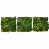 3Pcs Artificial Plant Wall Panel 100 x 100cm Cassia Living Foliage Green Tiles Indoor Outdoor Weather & UV Resistant Grass Fence Hedge Privacy Backdrop Garden Home Decor Snap & Lock Fixings Included