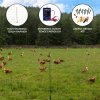 Electric Fence Energiser & Poultry Netting 50m Roll Fencing Battery Powered Controller 10KM Range Chicken Hen Turkey Net Mesh 11 Wires 120cm High 14 Double Spikes Repair Kit Ground Spikes Earth Stake