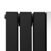 Flat Panel Radiator With Mirror 1800mm x 565mm Modern Designer Double Column Vertical Heater Matt Black Carbon Steel Wall Mounted Kitchen Living Room Cleaning Brush Fixing Kit & Brackets