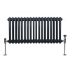 Traditional 2 Column Radiator 300mm x 832mm Modern Central Heating Heater Matt Anthracite Grey Carbon Steel Horizontal Wall Mounted Kitchen Living Room Bathroom Cleaning Brush Fixing Kit & Brackets