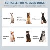 PawHut Raised Dog Bowls, Pet Feeding Storage Station with Two Stainless Steel Bowls, Base, for Large Dogs, Grey