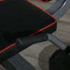 SPORTNOW Seated Leg Extension Machine, Adjustable Leg Raise Machine and Curl Machine with Plate Loaded for Hip, Thigh, Lower Body Workout
