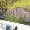 Outsunny Decorative Garden Fencing, 43in x 11.4ft Outdoor Picket Fence Panels, 4PCs Rustproof Steel Wire Landscape Flower Bed Border Edging Animal Barrier, Black