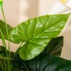 HOMCOM Set of 2 Artificial Realistic Calla Lily Flower, Faux Decorative Plant in Nursery Pot for Indoor Outdoor Decor, 55cm