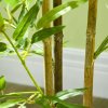 HOMCOM Decorative Artificial Plants Bamboo in Pot Fake Plants for Home Indoor Decor,120 cm