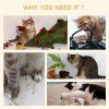 PawHut 51cm Cat Tree, Kitty Activity Center, Cat Climbing Toy, Cat Tower w/ Cattail Bed, Toy Ball, Scratching Post - Beige