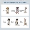 PawHut Raised Dog Bowl Feeding Bowls with Stand for Medium Dogs Elevated Pet Bowls Water Food Feeder 58L x 31W x 25H cm - Grey