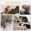 PawHut 3PCs Wall Mounted Cat Tree Cats Shelves, Climbing Shelf Set, Kitten Activity Center with Jumping Platforms Hammock Scratching Post, Oak