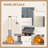 PawHut 56cm Cat Tree for Indoor Cats, Scratching Post w/ Cat Toys Climbing Tower Activity Centre, Dangling Ball - Grey