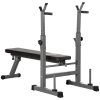HOMCOM Adjustable Weight Bench, Foldable Bench Press with Barbell Rack, Dip Station, for Home Gym, Strength Training, Multi-Use Workout Bench, Grey