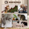 PawHut Cardboard Cat House with Scratcher, Catnip, TV-Shaped Cat Play House with Toy Mouse for Indoor Cats
