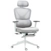 HOMCOM Ergonomic Office Chair, Mesh Desk Chair with 3D Armrests, Rotatable Headrest, Adjustable Lumbar Support, Coat Hanger, Footrest for Home Office, Grey