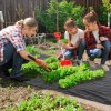 Outsunny 2m x 100m Heavy Duty Weed Control Membrane, Weed Membrane for Landscaping Driveway Gravel Artificial Grass Lawn Underlay, Black