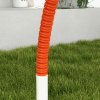 PawHut Dog Agility Equipment Set, Dog Agility Training Equipment for Dogs with Oxford Carry Bag, 4 PCS Weave Poles, Dog Obstacle Course, Pet Outdoor Games, Orange