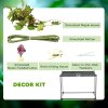 PawHut Vivarium, Terrarium, Glass Reptile Habitat w/ Thermometer, Decoration, Heat for Lizards, Horned Frogs, Snakes, Spiders, 50 x 30 x 35cm