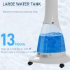 HOMCOM Pedestal Fan with Water Mist Spray, Spray Misting Fan with 75° Oscillation, Remote Control, Tilt Head, 3 Speeds, 3 Modes, 3 Mist, 3L Water Tank, Wheels, for Home, 125 cm