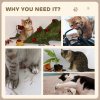 PawHut 2-in-1 Cat Scratcher, Cat Scratching Board with Organic Catnip, Cardboard Lounge for Indoor Cats, 29.5 x 56 x 26cm, Brown