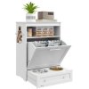 PawHut Pet Feeder Station, Dog Food Storage Container w/ Raised Dog Bowls, Hanger, for Food and Water - White