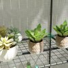 Outsunny 3 Tier Lean-to Mini Greenhouse with Reinforced PE Cover, Portable Small Greenhouse with Roll-Up Door, Green Hemmed Edging, 144 x 48 x 152cm, White
