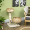 PawHut 72cm Cat Tree for Indoor Cats with 2 Beds, Kitten Tower with Scratching Post, Toy Ball - Beige