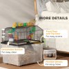 PawHut Hamster Cage, 2 Tier Gerbil Cage with 31cm Deep Tray, Tube System, Water Bottle, Ramp, Feeding Bowl, 58 x 43 x 57cm, Multicoloured