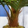 Outsunny 60cm/2FT Artificial Palm Tree Decorative Plant 8 Leaves with Nursery Pot, Fake Tropical Tree for Indoor Outdoor D??cor