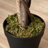 Outsunny 160cm/5.2FT Artificial Ficus Silk Tree with Nursery Pot, Decorative Fake Plant, for Indoor Outdoor D??cor