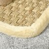 PawHut 56cm Small Cat Tree for Indoor Cats with Scratching Post, Kitten Tower with Tunnel, Toy Ball, Cushion - Beige