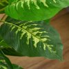 HOMCOM Artificial Evergreen Tree Fake Decorative Plant in Nursery Pot for Indoor Decor, 95cm