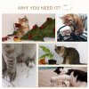 PawHut 4 Piece Cat Shelves Cat Wall Furniture Wall-Mounted Cat Tree for Indoor Cat w/ Hammock, Steps, Platforms, Scratching Post - Beige