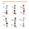 PawHut Freestanding Dog Gate, Foldable Pet Fence, Indoor Barrier, Stair Gate with Support Feet, 155 x 76 cm, White