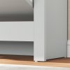 HOMCOM Narrow Shoe Cabinet, Space Saving Shoe Storage Cabinet with 2 Flip Drawers and Adjustable Shelves for 6-12 Pairs of Shoes for Hallways and Living Room, Light Grey