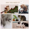 PawHut 4PCs Wall Mounted Cat Tree Cat Wall Shelves Furniture Climbing Shelf Set Kitten Activity Centre w/ Hammock, Scratching Post - Beige