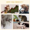 PawHut Corner Cat Tree for Indoor Cats, Kitten Tower with Scratching Post House Ladder Toy - Beige