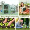Outsunny 3 x 2 x 2m Polytunnel Greenhouse with Roll-up Sidewalls, Door and 6 Mesh Windows, Walk In Green House with UV-resistant PE Cover, Green