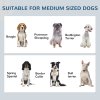 PawHut Pet Feeding Station with Storage, Dog Feeding Station with Raised Dog Bowls, Adjustable Panel, Hooks, Pet Food Storage Cabinet, White
