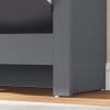 HOMCOM Narrow Shoe Cabinet, Space Saving Shoe Storage Cabinet with 2 Flip Drawers and Adjustable Shelves for 6-12 Pairs of Shoes for Hallways and Living Room, Charcoal Grey