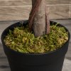 Outsunny Artificial Bay Laurel Topiary Trees w/ Pot Fake, Set Of 2 120cm/4FT Indoor Outdoor Greenery Plant Home Office Garden Decor Green