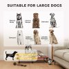PawHut Raised Dog Bed, Portable Elevated Pet Cot with Breathable Mesh for Indoor Outdoor, for Large Dogs, 107 x 61 x 20 cm, Red