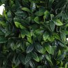 Outsunny Set of 2 Artificial Boxwood Spiral Topiary Trees Potted Decorative Plant Indoor D??cor 120cm