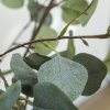 HOMCOM Set of 2 Decorative Artificial Tree, 4ft/ 120cm Silk Eucalyptus Trees with 230 Silver Dollar Leaves in Pot, Fake Plants for Home, Office, Living Room, Indoor Decor