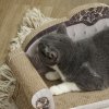 PawHut 2-in-1 Cat Scratcher, Cat Scratching Board with Organic Catnip, Cardboard Lounge for Indoor Cats, 29.5 x 56 x 26cm, Brown