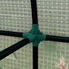 Outsunny Tomato Greenhouse, Garden Growhouse with 2 Roll-up Doors and 4 Mesh Windows, Portable Indoor Outdoor Green House, 185 x 94 x 150cm, Green