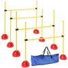 PawHut 4 Piece Agility Training Equipment for Dogs with Height Adjustable Jump Hurdle, Bag, Portable, Easy Assemble Dog Outdoor Obstacle Course for Training